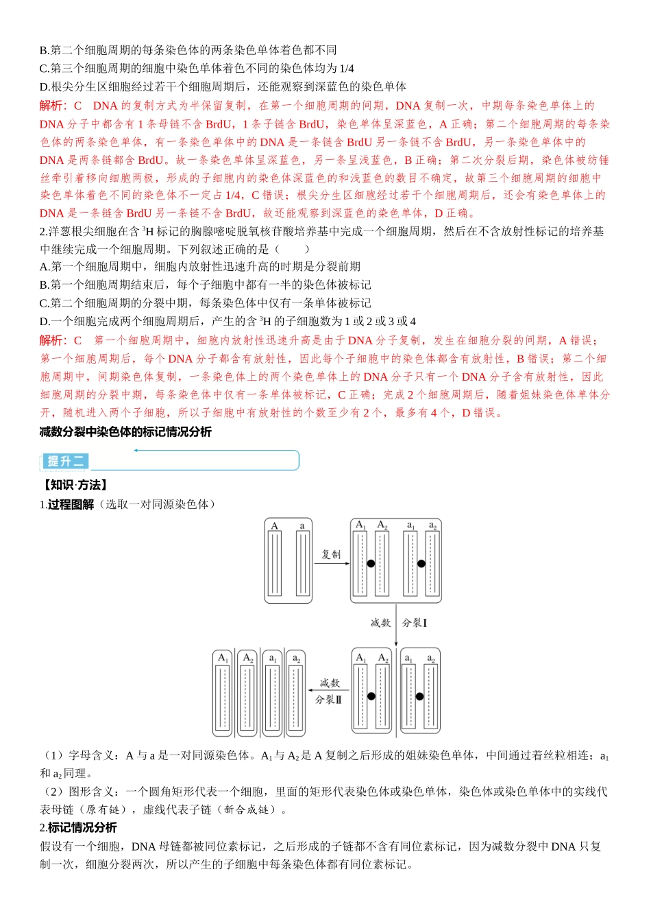 2026年三维设计一轮高中总复习生物-加强提升课5　 DNA复制与细胞分裂中染色体标记问题.docx_第2页