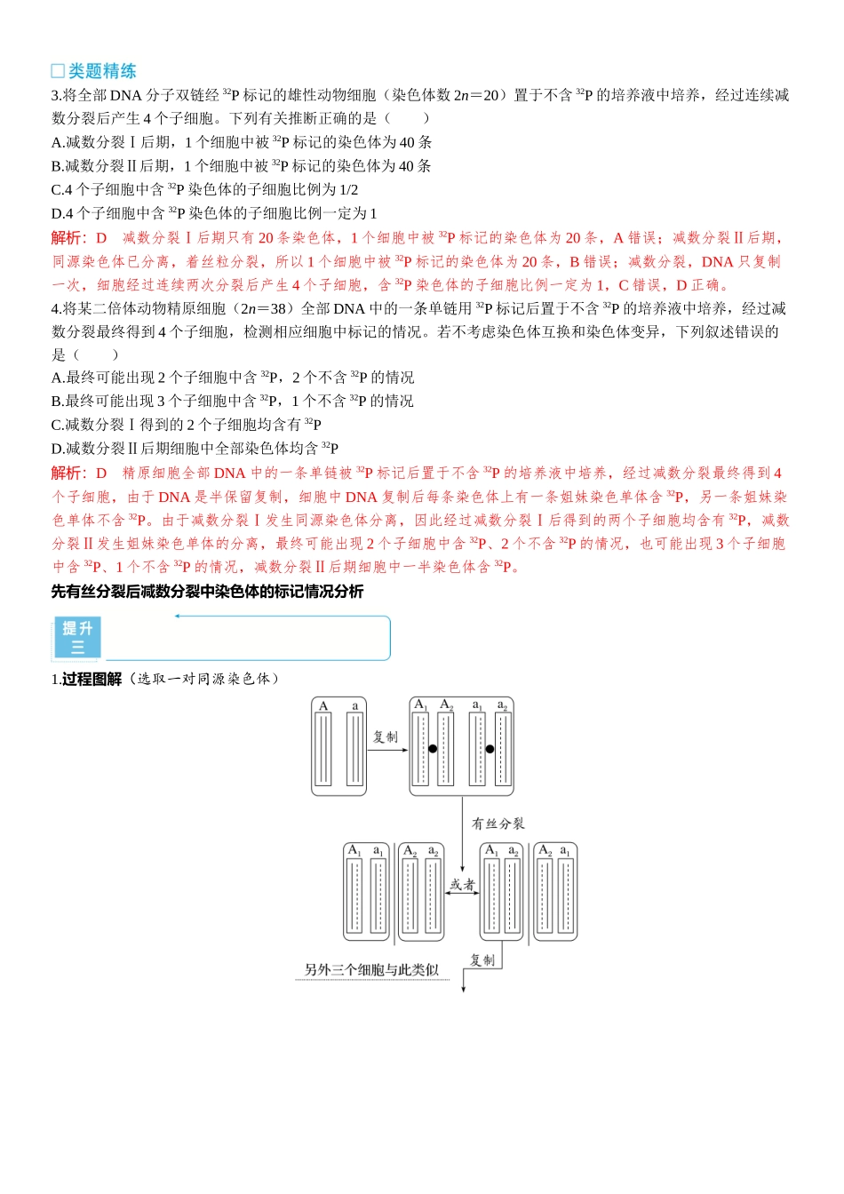 2026年三维设计一轮高中总复习生物-加强提升课5　 DNA复制与细胞分裂中染色体标记问题.docx_第3页