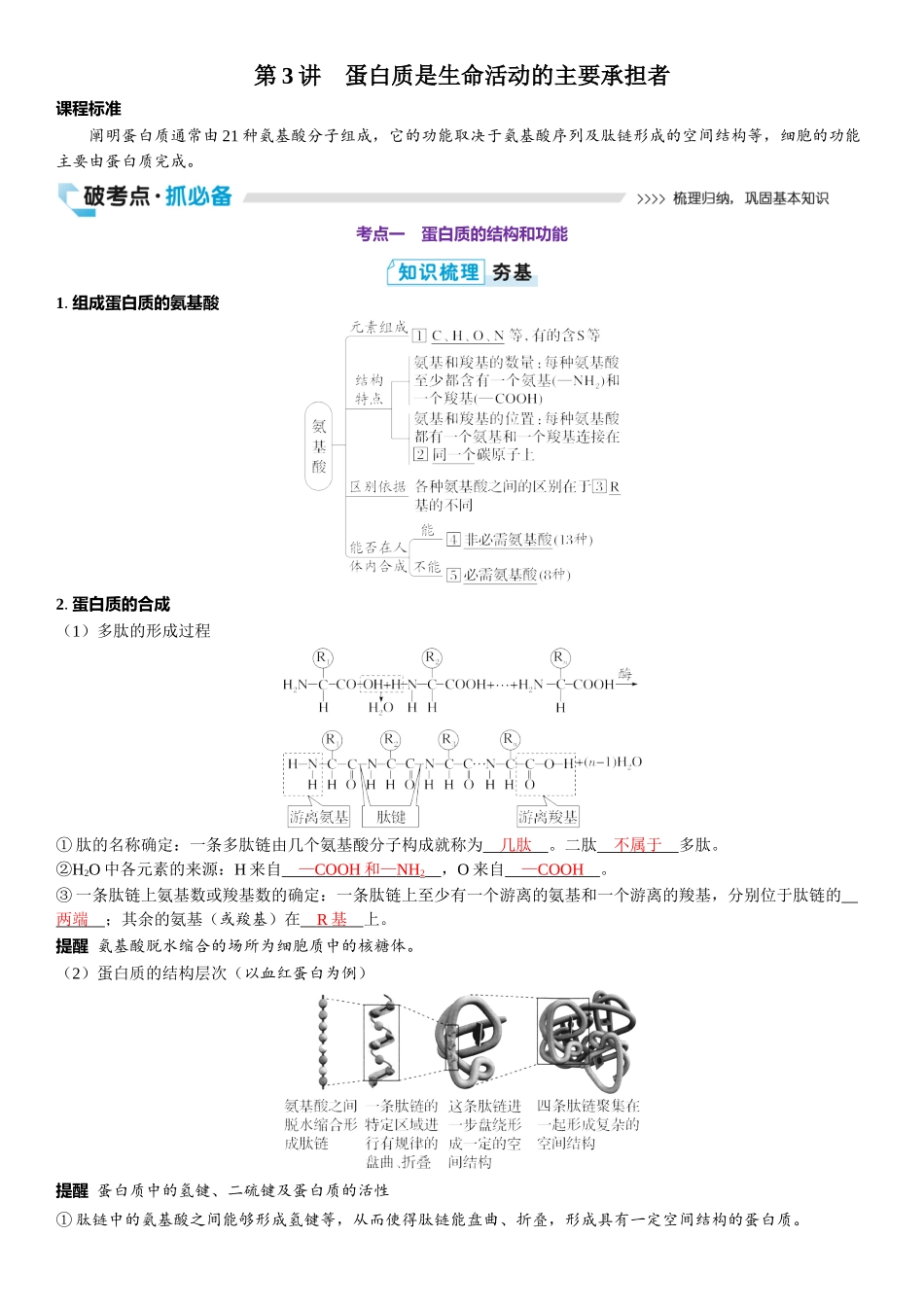 2026年三维设计一轮高中总复习生物教师用-第3讲　蛋白质是生命活动的主要承担者.docx_第1页