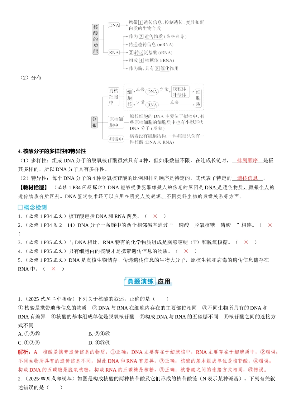 2026年三维设计一轮高中总复习生物教师用-第4讲　核酸是遗传信息的携带者.docx_第2页
