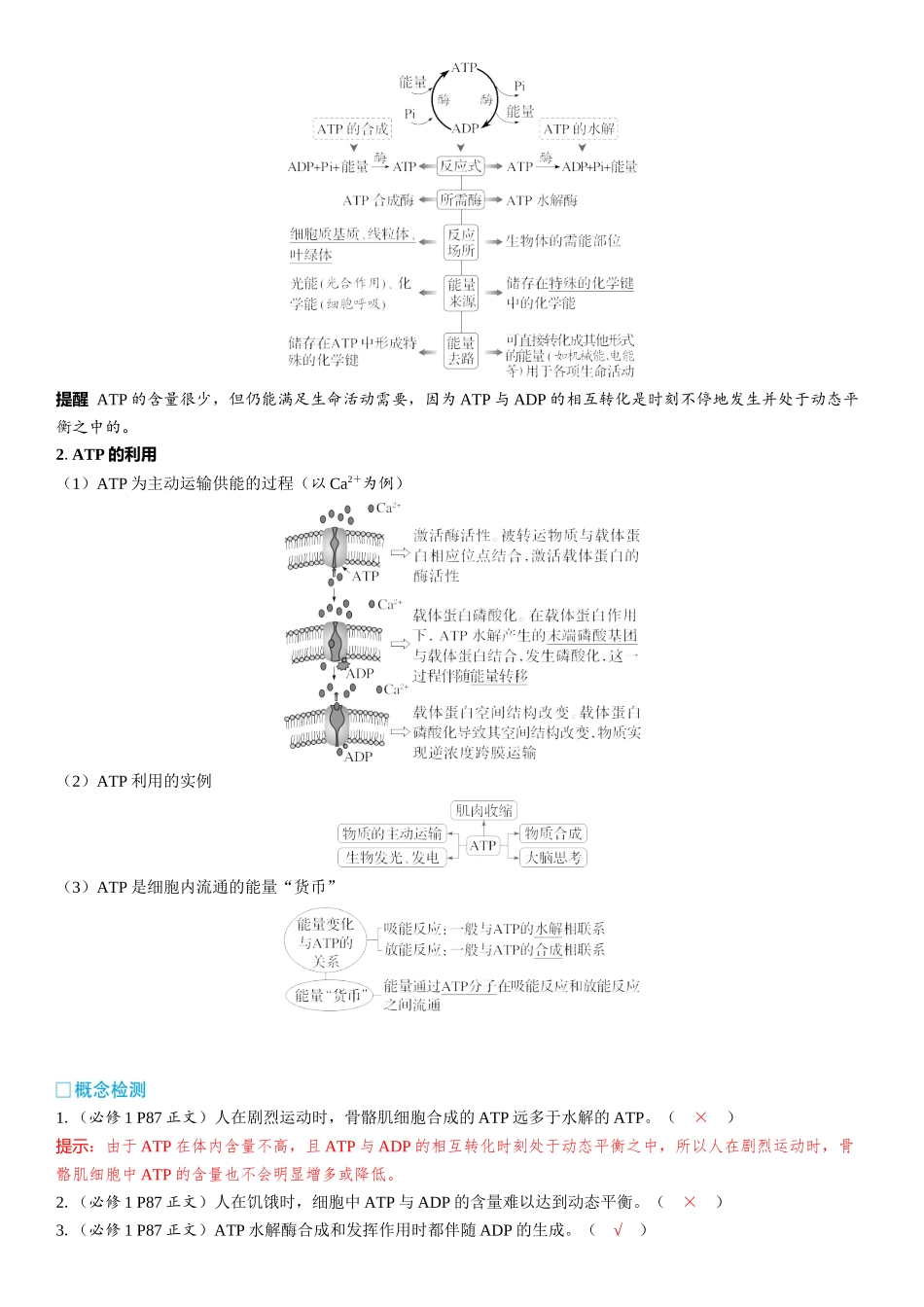 2026年三维设计一轮高中总复习生物教师用-第11讲　ATP.docx_第3页