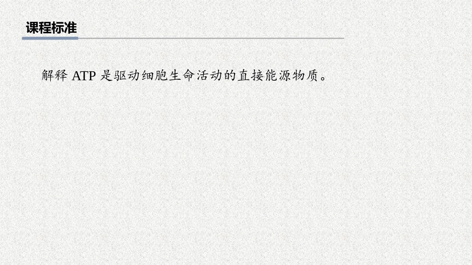 2026年三维设计一轮高中总复习生物教师用-第11讲　ATP.pptx_第2页