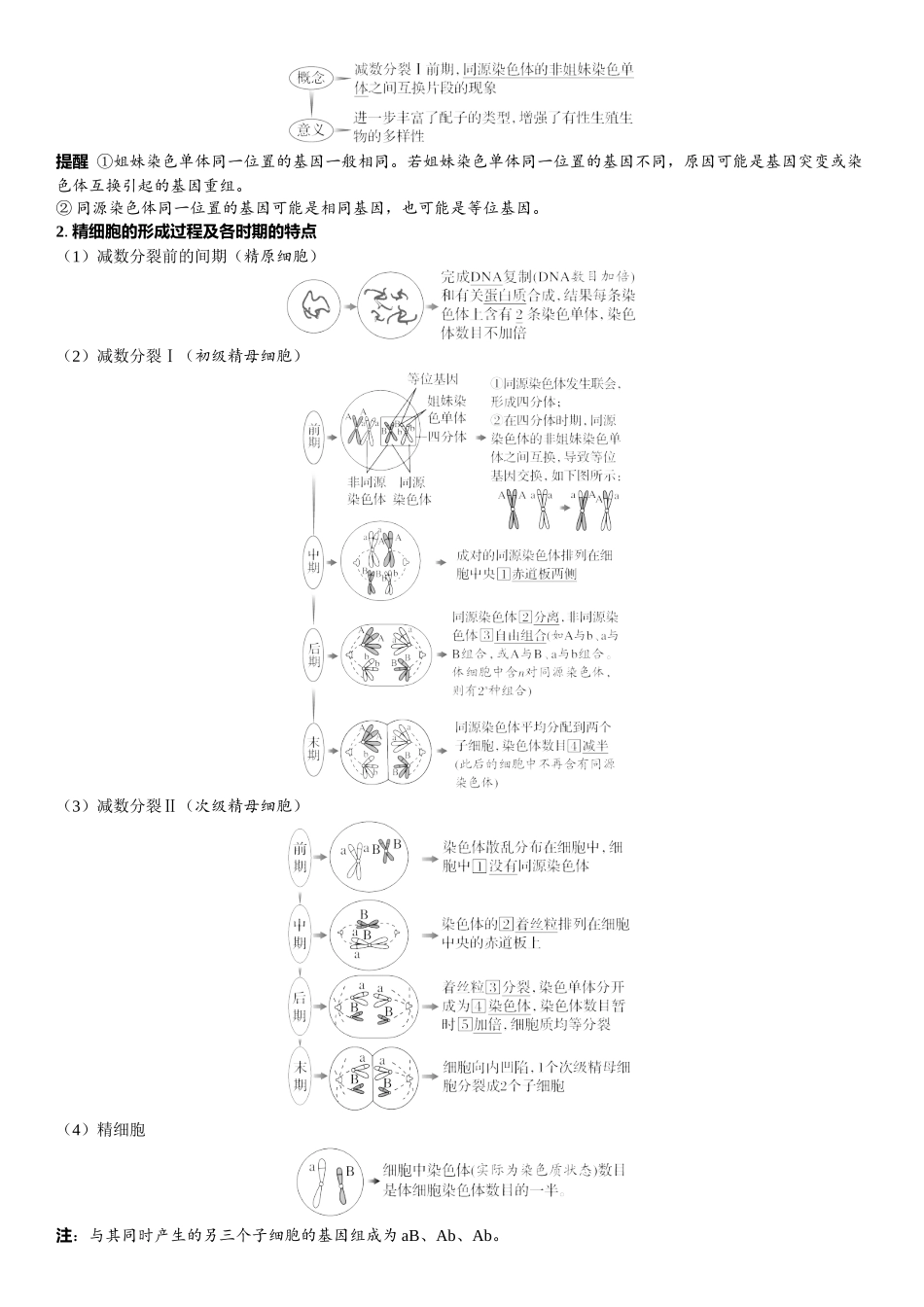 2026年三维设计一轮高中总复习生物教师用-第18讲　减数分裂和受精作用.docx_第2页