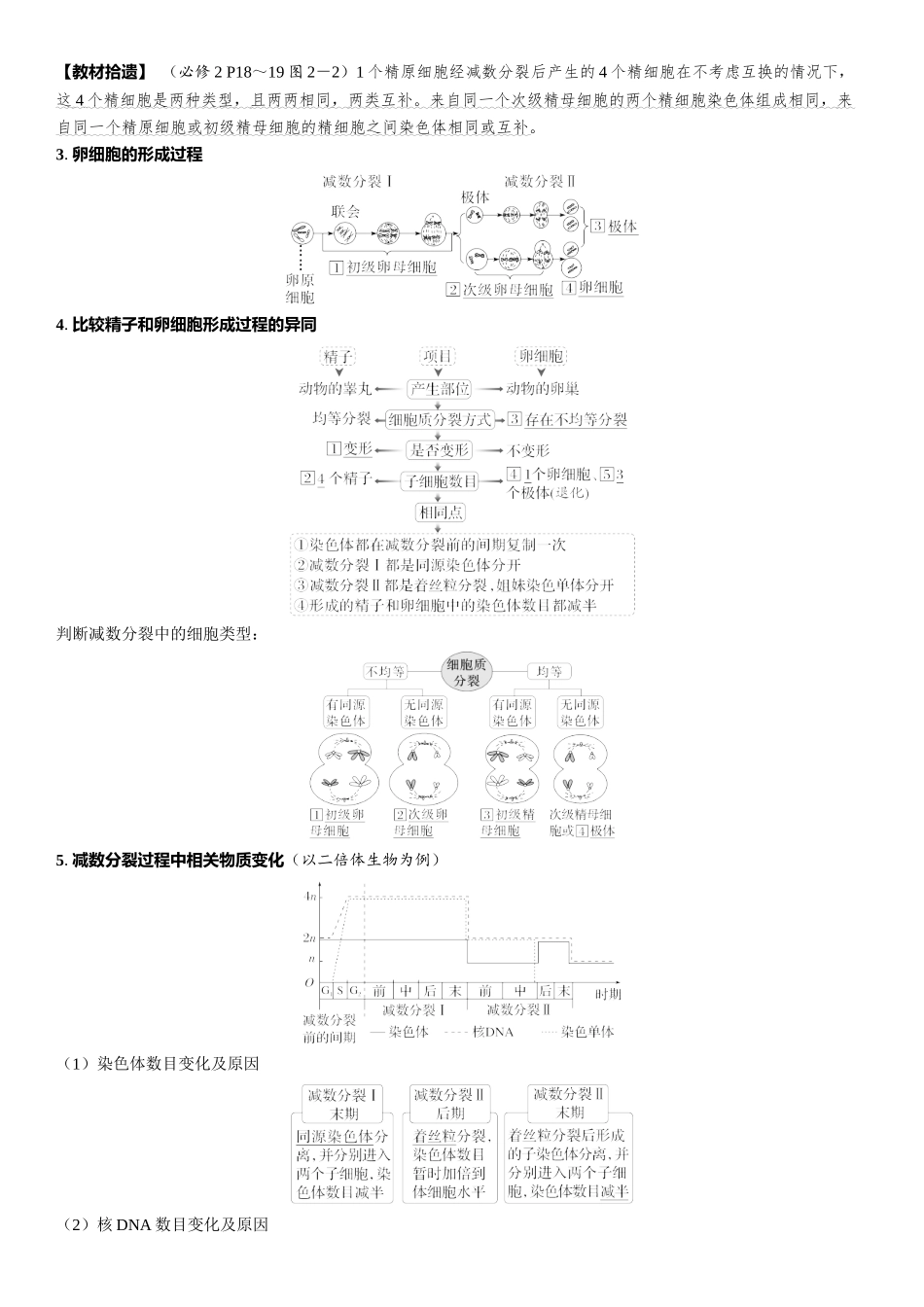2026年三维设计一轮高中总复习生物教师用-第18讲　减数分裂和受精作用.docx_第3页