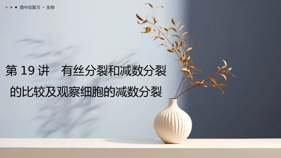 2026年三维设计一轮高中总复习生物教师用-第19讲　有丝分裂和减数分裂的比较及观察细胞的减数分裂.pptx_第1页