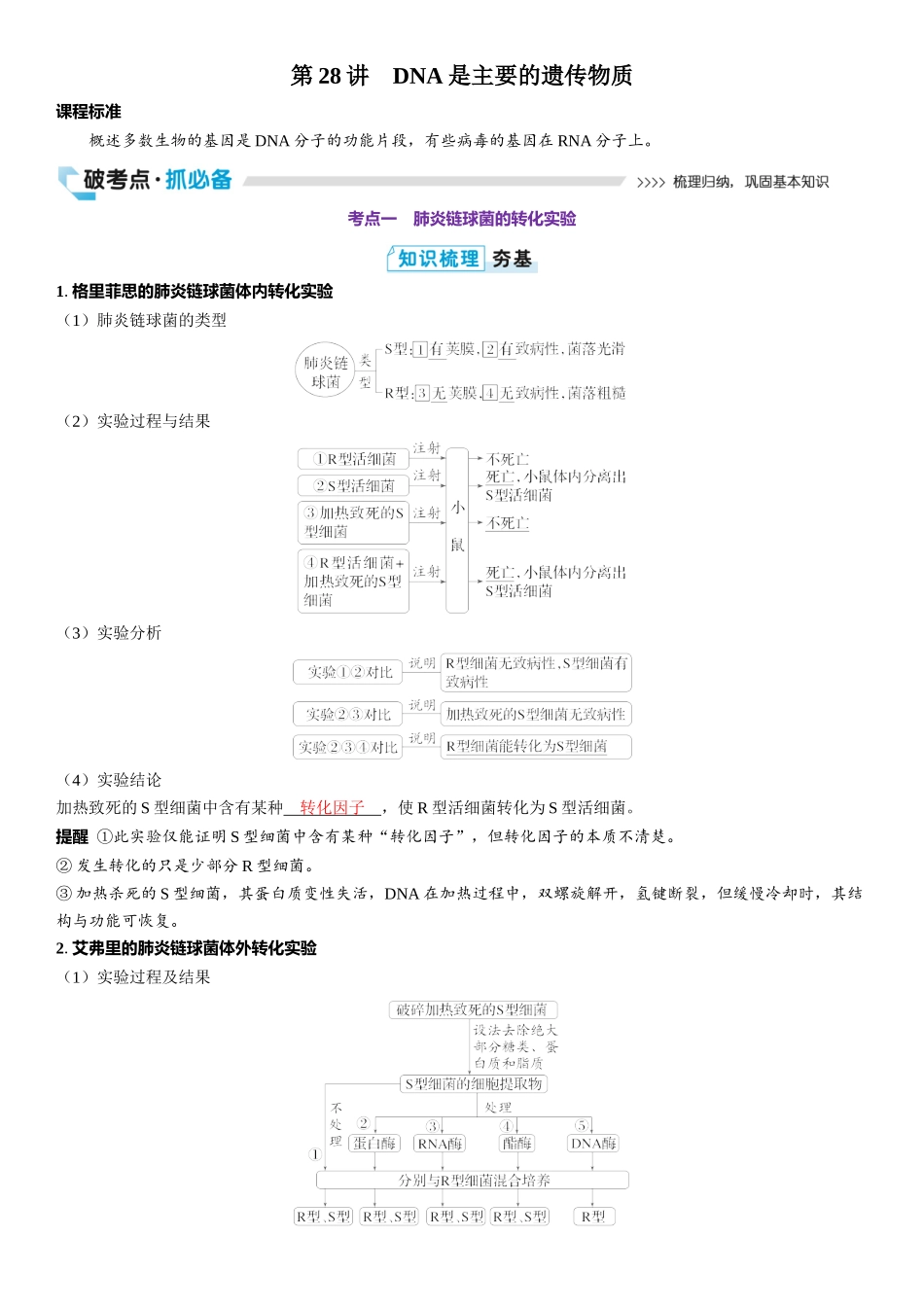 2026年三维设计一轮高中总复习生物教师用-第28讲　DNA是主要的遗传物质.docx_第1页
