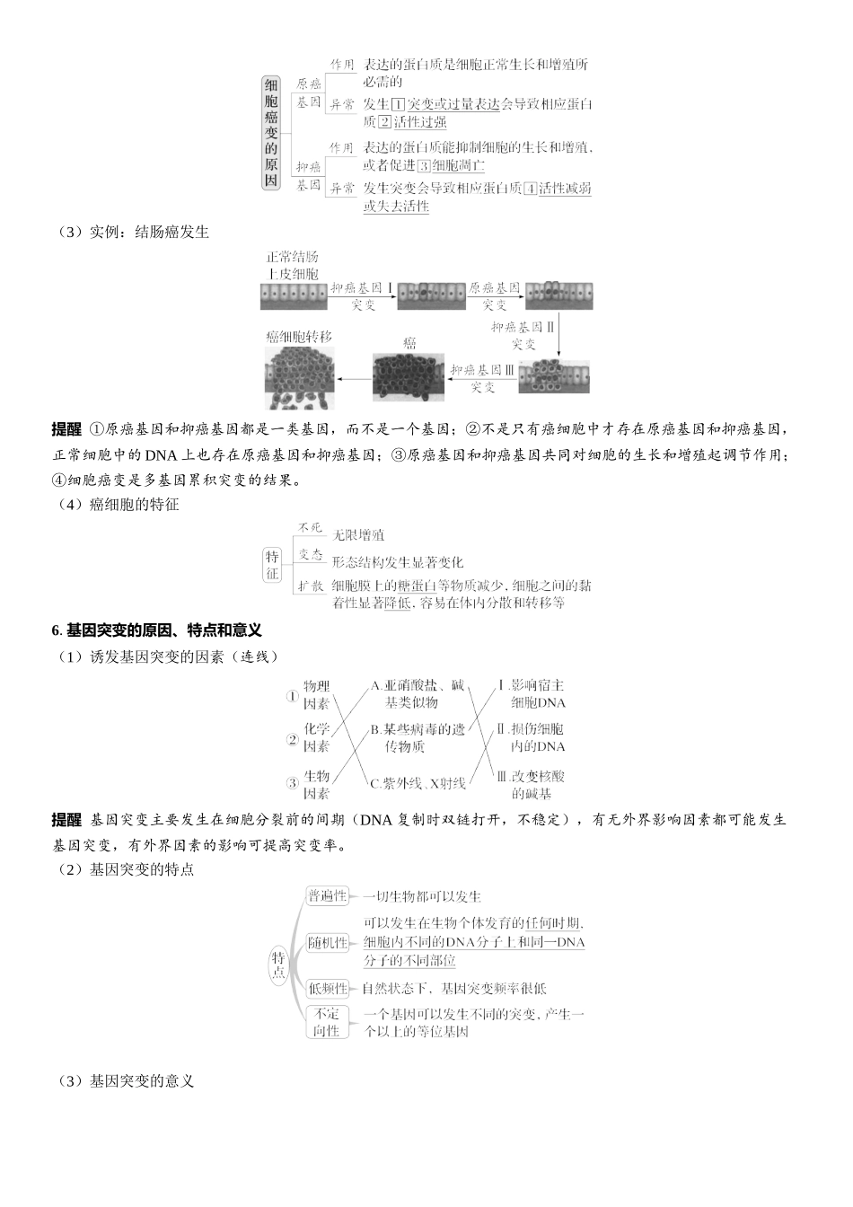 2026年三维设计一轮高中总复习生物教师用-第32讲　基因突变和基因重组.docx_第2页