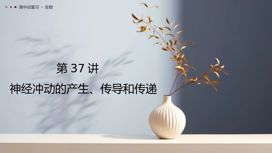 2026年三维设计一轮高中总复习生物教师用-第37讲　神经冲动的产生、传导和传递.pptx_第1页