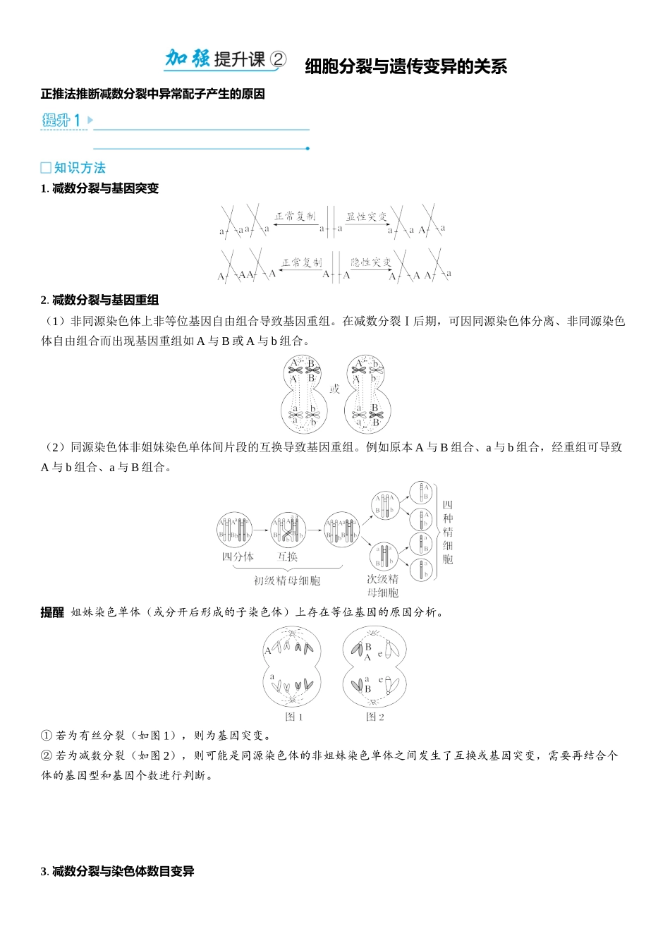 2026年三维设计一轮高中总复习生物教师用-加强提升课2　细胞分裂与遗传变异的关系.docx_第1页