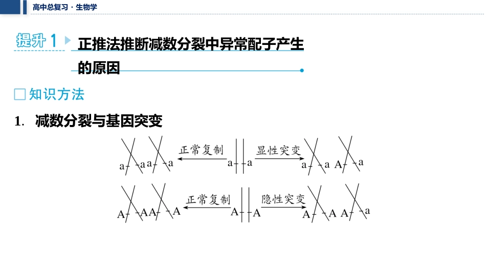 2026年三维设计一轮高中总复习生物教师用-加强提升课2　细胞分裂与遗传变异的关系.pptx_第2页