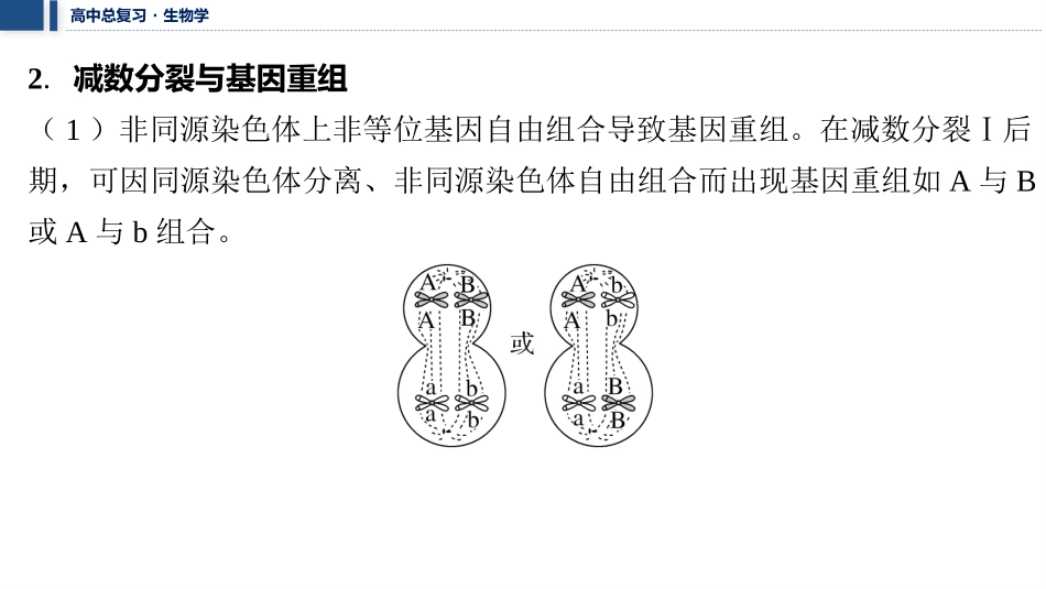 2026年三维设计一轮高中总复习生物教师用-加强提升课2　细胞分裂与遗传变异的关系.pptx_第3页