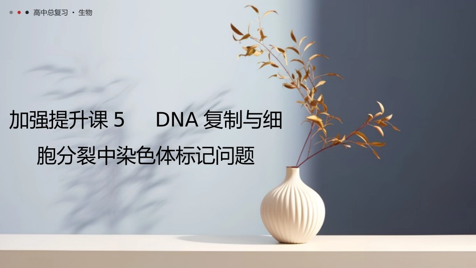 2026年三维设计一轮高中总复习生物教师用-加强提升课5　DNA复制与细胞分裂中染色体标记问题.pptx_第1页