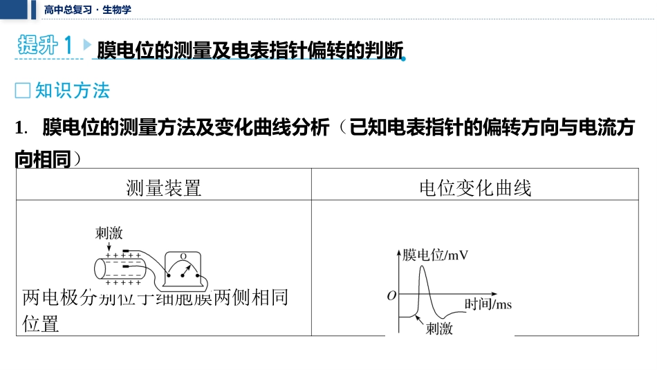 2026年三维设计一轮高中总复习生物教师用-加强提升课8　兴奋的传导与传递的相关实验探究.pptx_第2页