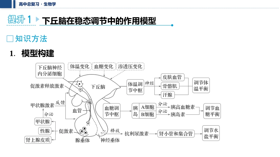 2026年三维设计一轮高中总复习生物教师用-加强提升课9   动物生命活动调节模型的构建和分析.pptx_第2页