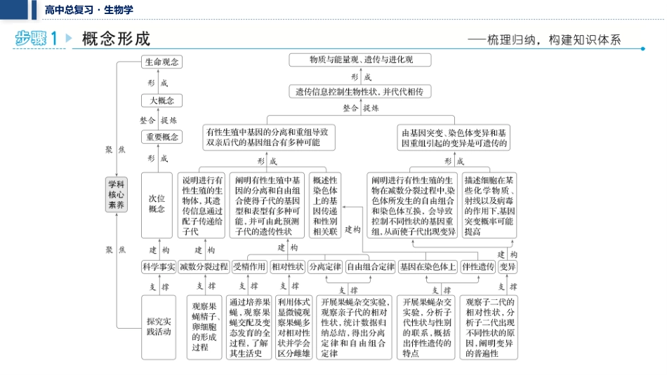 2026年三维设计一轮高中总复习生物教师用-聚焦生物大概念3⇒遗传信息控制生物性状，并代代相传.pptx_第2页
