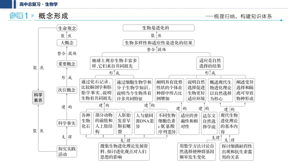2026年三维设计一轮高中总复习生物教师用-聚焦生物大概念4⇒生物的多样性和适应性是进化的结果.pptx_第2页