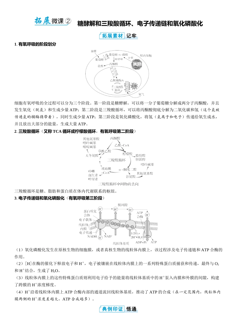 2026年三维设计一轮高中总复习生物教师用-拓展微课2　糖酵解和三羧酸循环、电子传递链和氧化磷酸化.docx_第1页