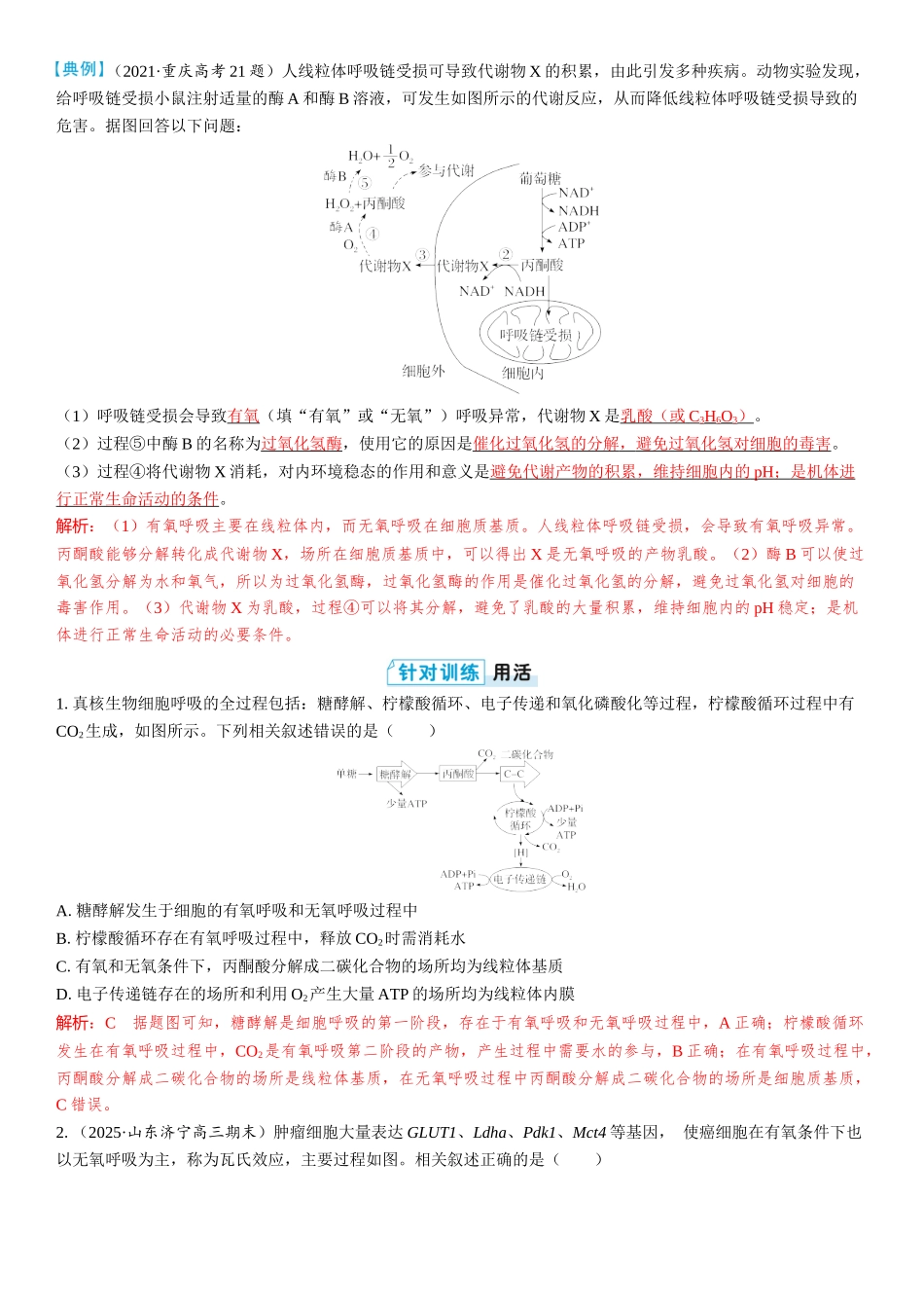 2026年三维设计一轮高中总复习生物教师用-拓展微课2　糖酵解和三羧酸循环、电子传递链和氧化磷酸化.docx_第2页
