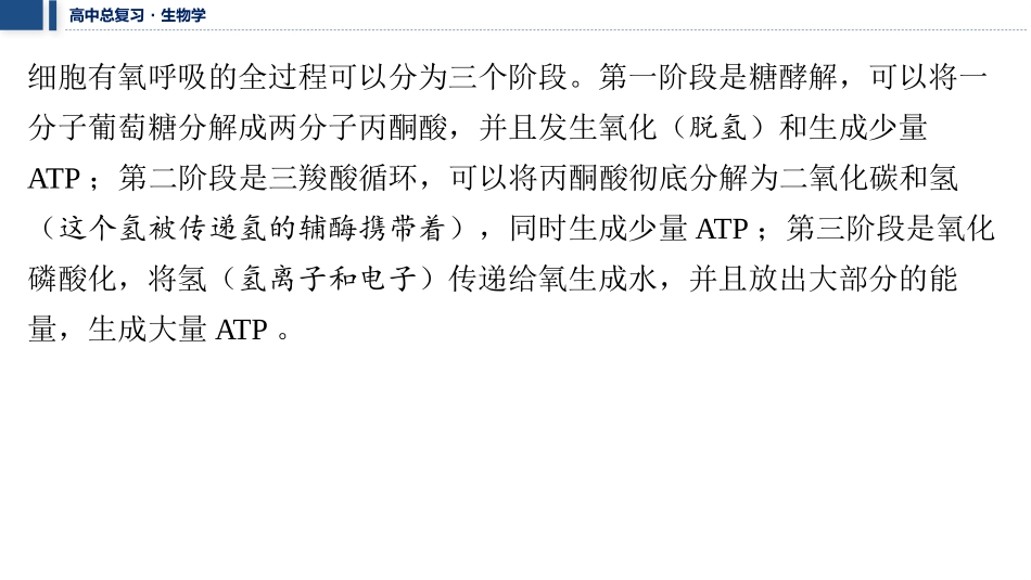 2026年三维设计一轮高中总复习生物教师用-拓展微课2　糖酵解和三羧酸循环、电子传递链和氧化磷酸化.pptx_第3页