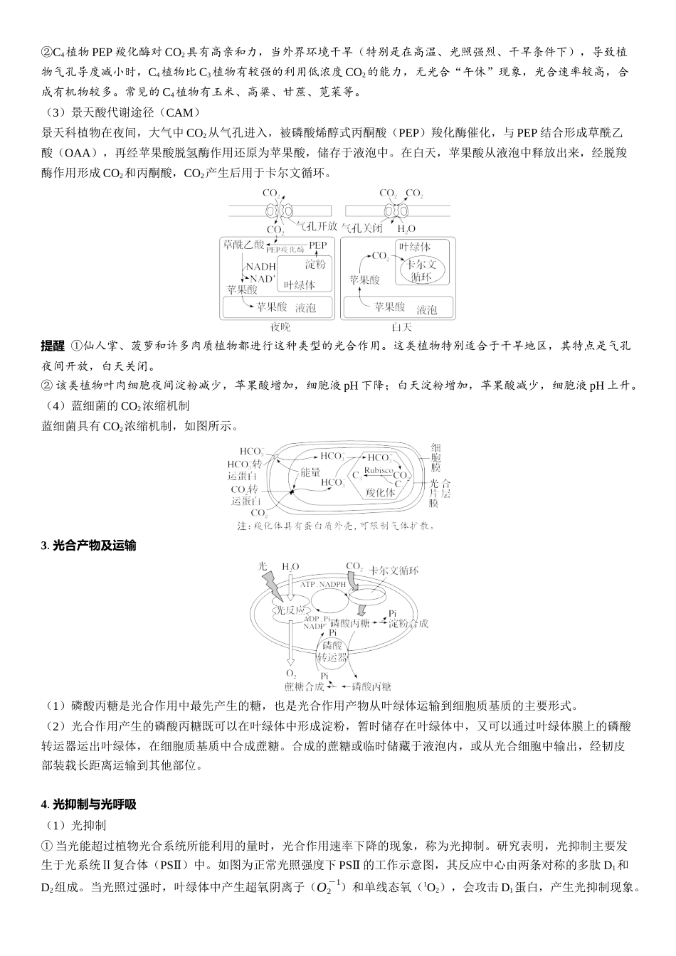 2026年三维设计一轮高中总复习生物教师用-拓展微课3　 CO2固定的三种途径、光呼吸与光抑制.docx_第2页