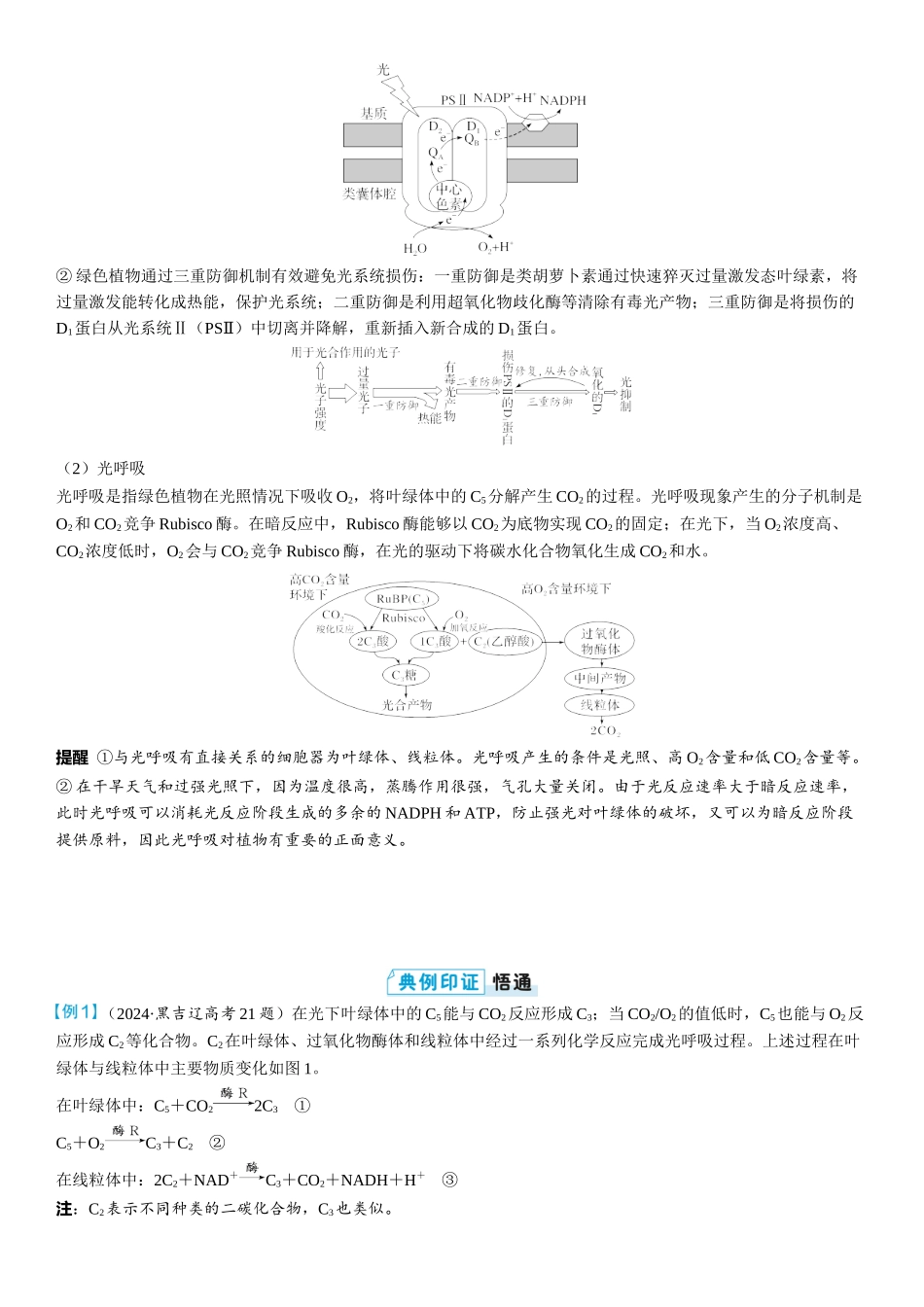 2026年三维设计一轮高中总复习生物教师用-拓展微课3　 CO2固定的三种途径、光呼吸与光抑制.docx_第3页