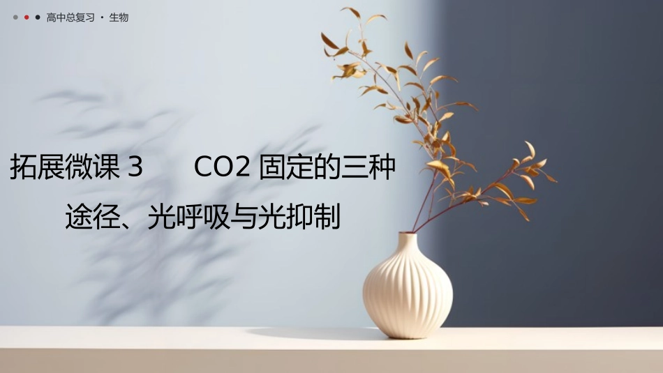 2026年三维设计一轮高中总复习生物教师用-拓展微课3　 CO2固定的三种途径、光呼吸与光抑制.pptx_第1页