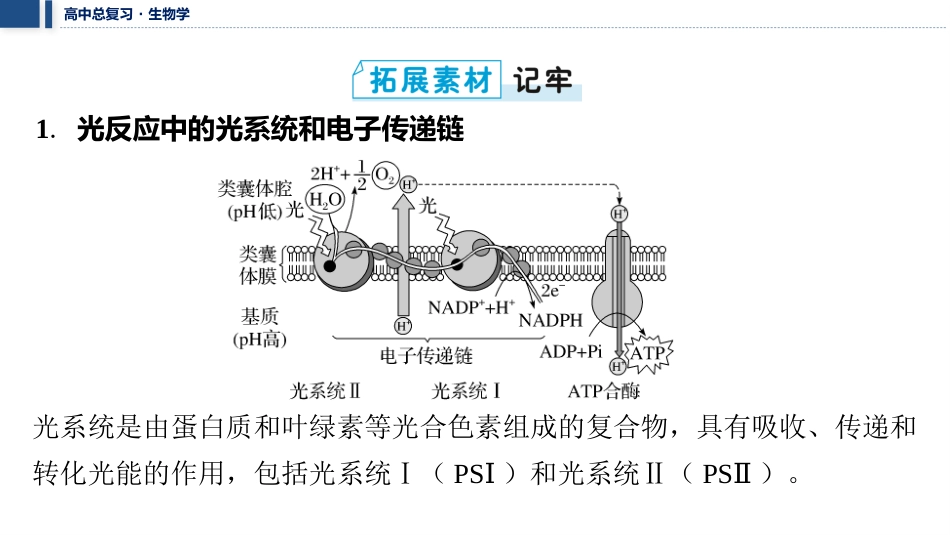 2026年三维设计一轮高中总复习生物教师用-拓展微课3　 CO2固定的三种途径、光呼吸与光抑制.pptx_第2页
