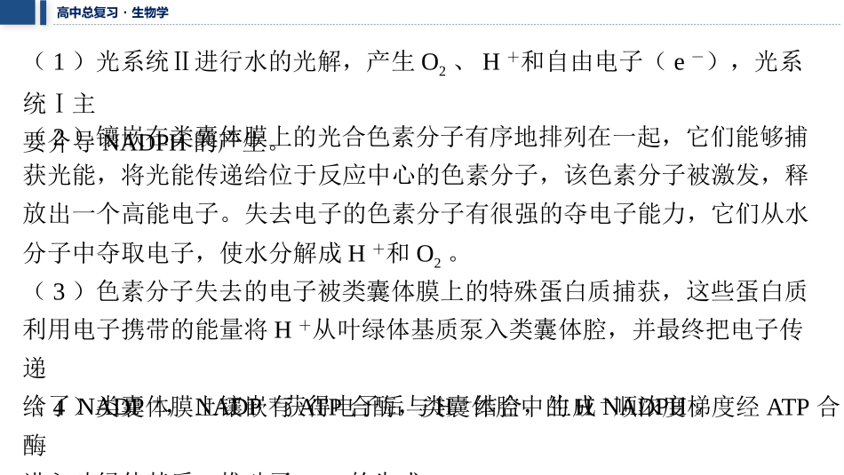 2026年三维设计一轮高中总复习生物教师用-拓展微课3　 CO2固定的三种途径、光呼吸与光抑制.pptx_第3页