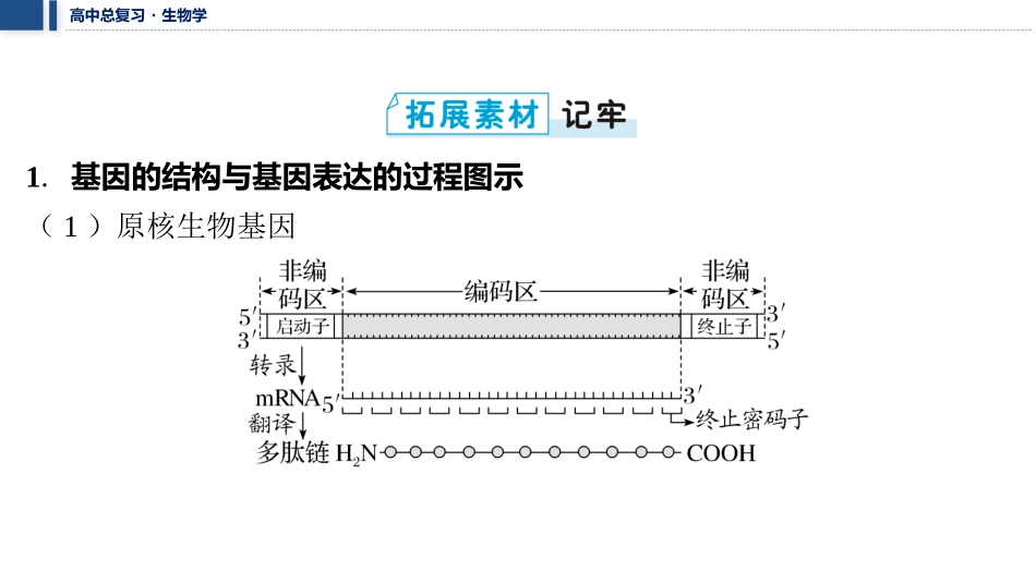 2026年三维设计一轮高中总复习生物教师用-拓展微课4　基因表达的调控.pptx_第2页