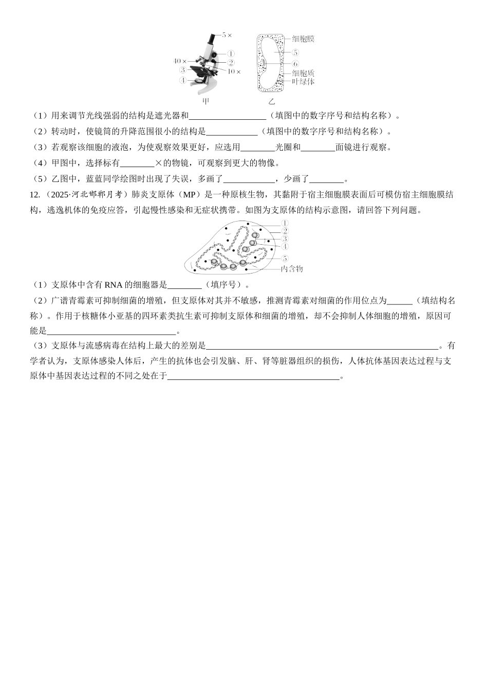 2026年三维设计一轮高中总复习生物课时跟踪检测-第1讲　走近细胞.docx_第3页