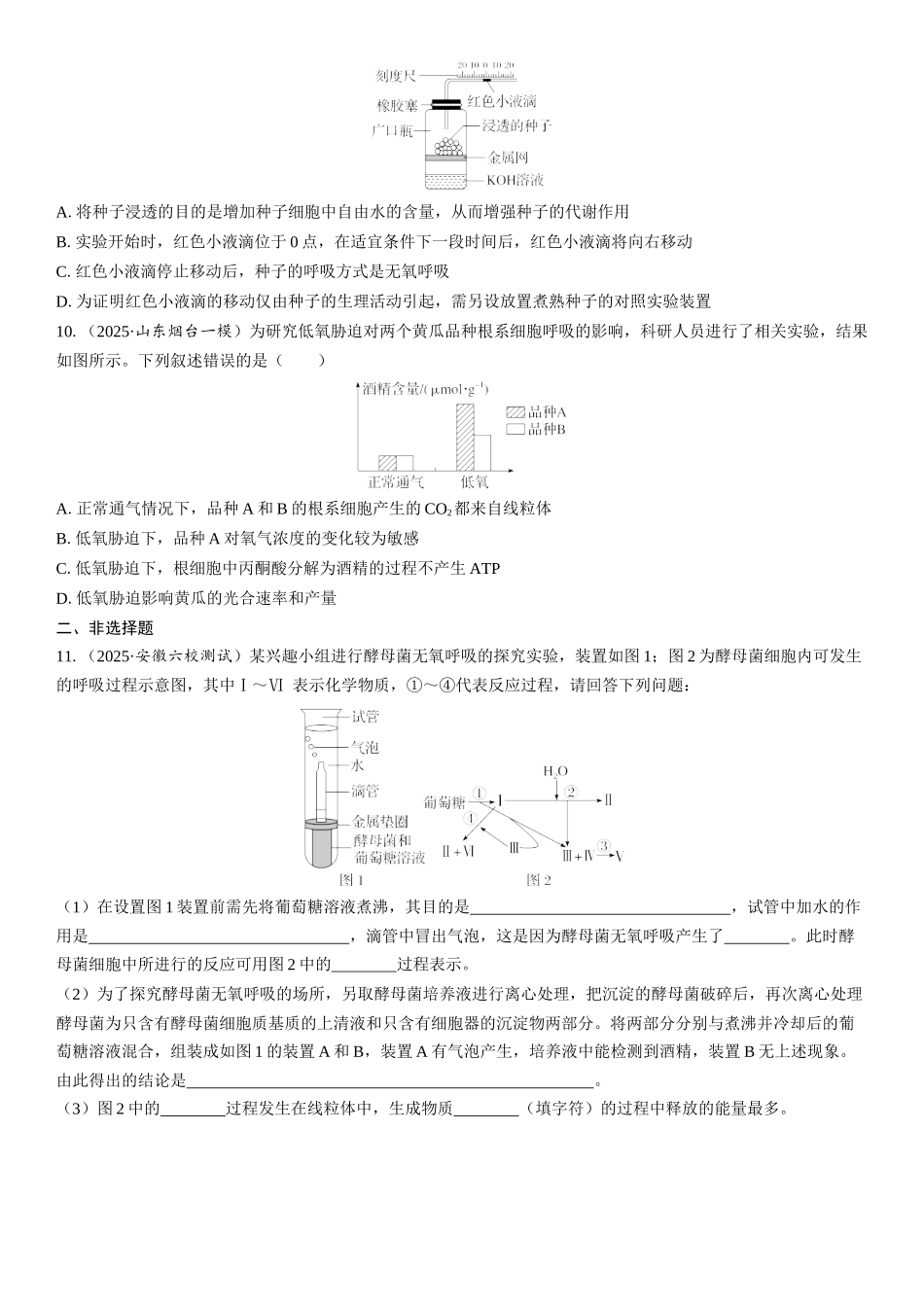 2026年三维设计一轮高中总复习生物课时跟踪检测-第13讲　探究酵母菌细胞呼吸的方式及细胞呼吸的影响因素分析.docx_第3页