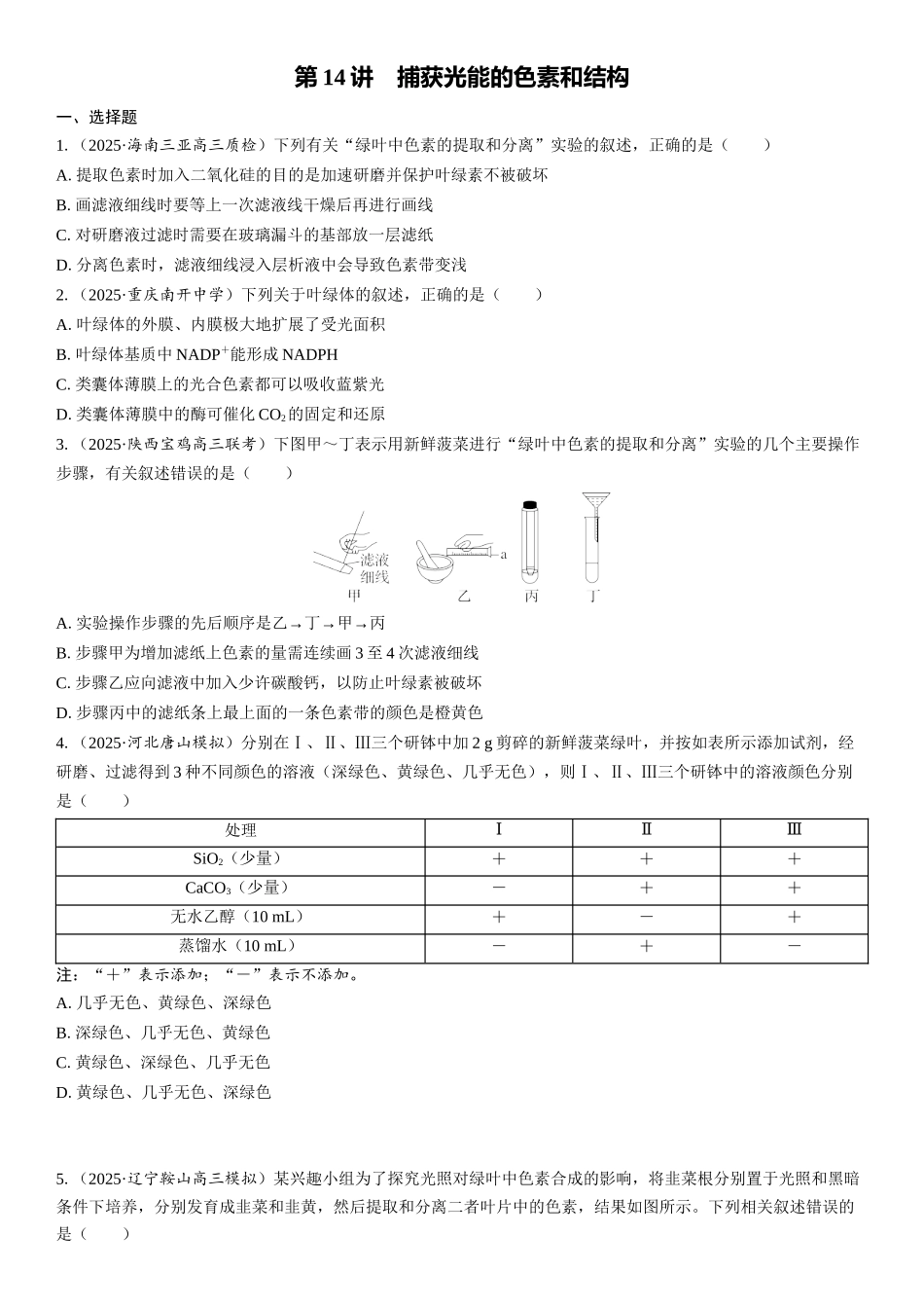 2026年三维设计一轮高中总复习生物课时跟踪检测-第14讲　捕获光能的色素和结构.docx_第1页