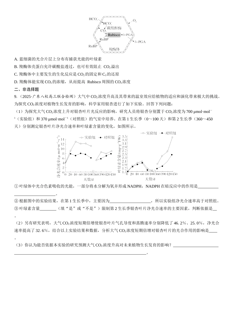 2026年三维设计一轮高中总复习生物课时跟踪检测-第15讲　光合作用的原理及影响因素.docx_第3页