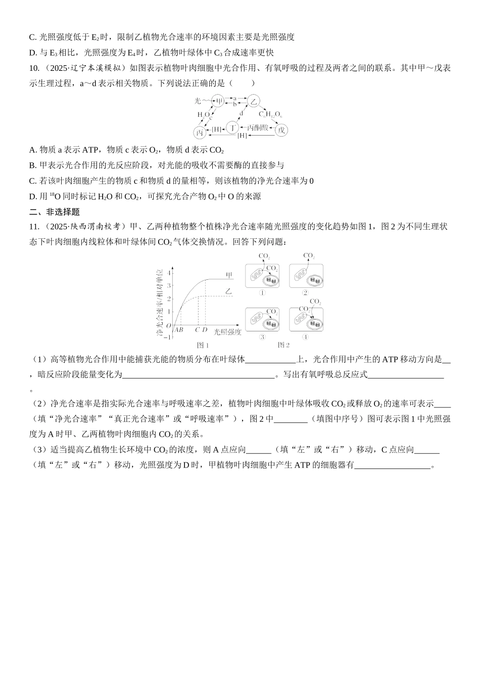 2026年三维设计一轮高中总复习生物课时跟踪检测-第16讲　光合作用和细胞呼吸的关系.docx_第3页