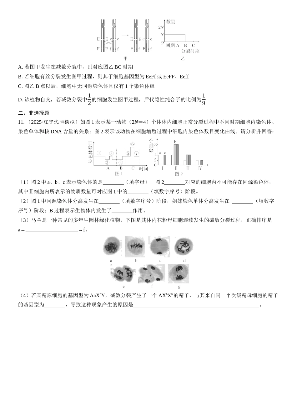 2026年三维设计一轮高中总复习生物课时跟踪检测-第18讲　减数分裂和受精作用.docx_第3页