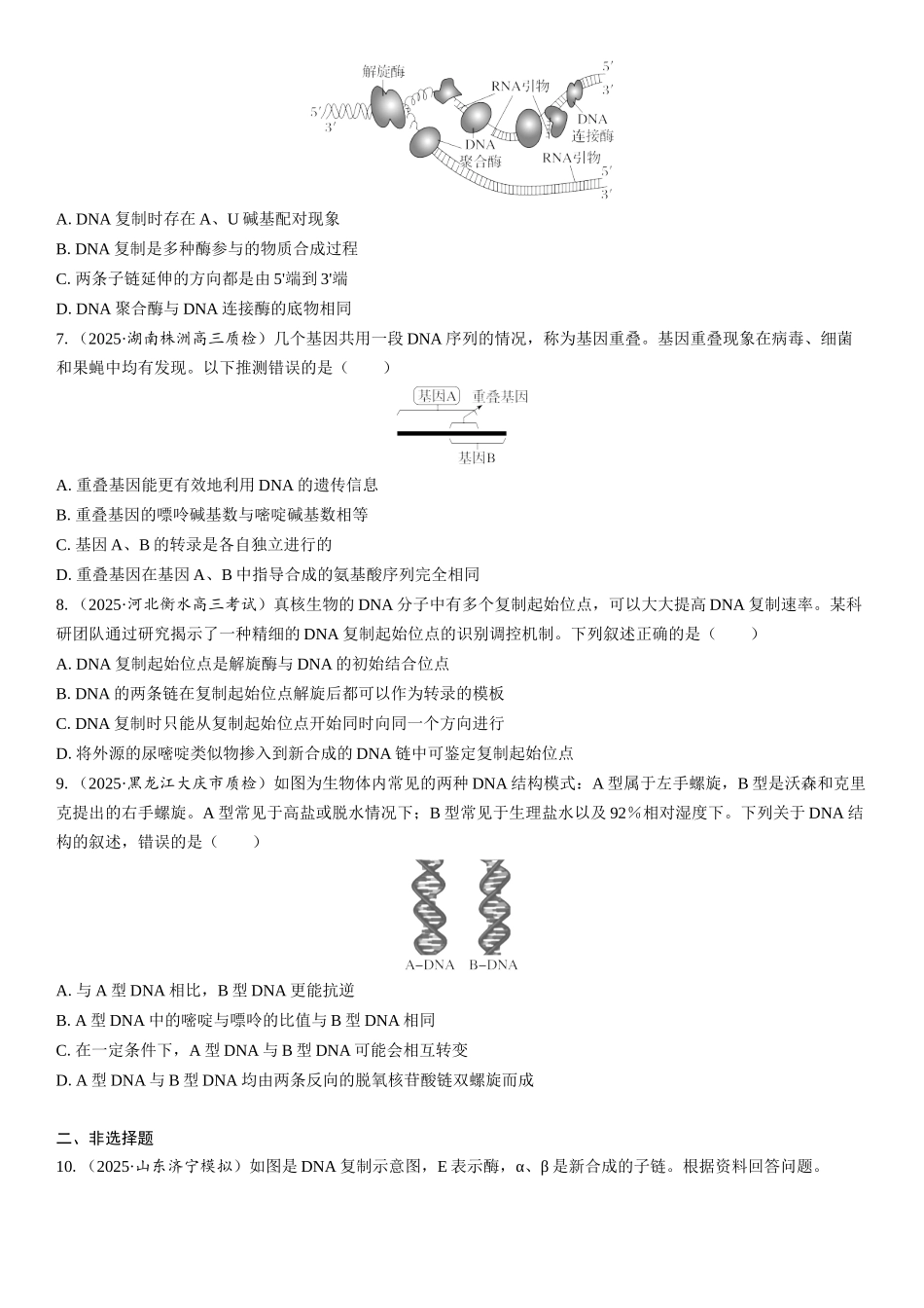 2026年三维设计一轮高中总复习生物课时跟踪检测-第29讲　DNA分子的结构、复制和基因的本质.docx_第2页