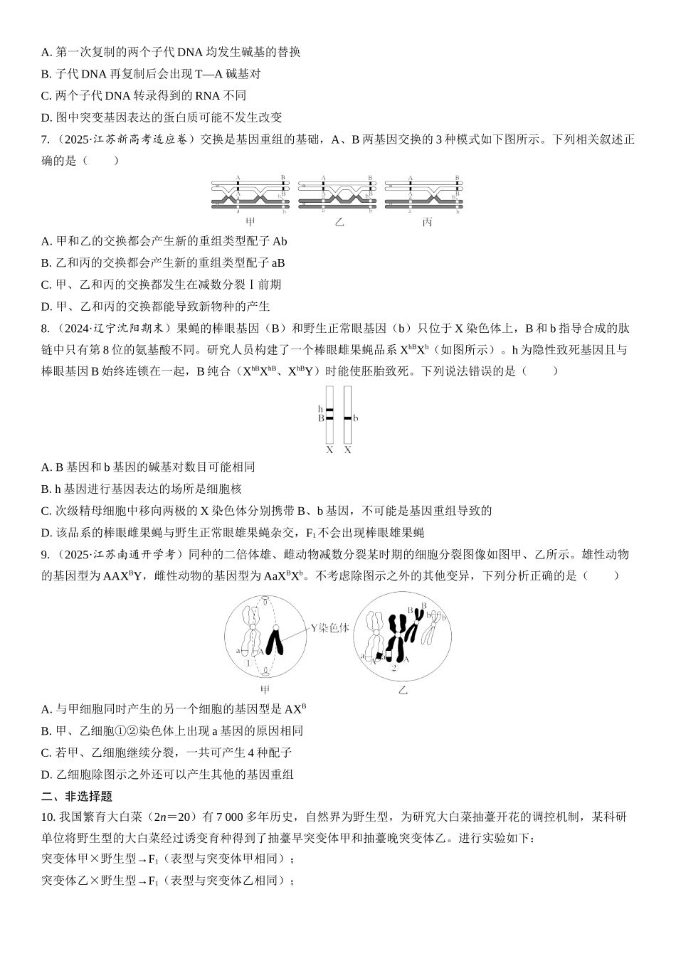 2026年三维设计一轮高中总复习生物课时跟踪检测-第32讲　基因突变和基因重组.docx_第2页