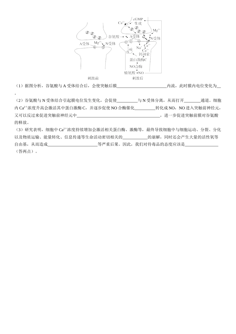2026年三维设计一轮高中总复习生物课时跟踪检测-第37讲　神经冲动的产生、传导和传递.docx_第3页