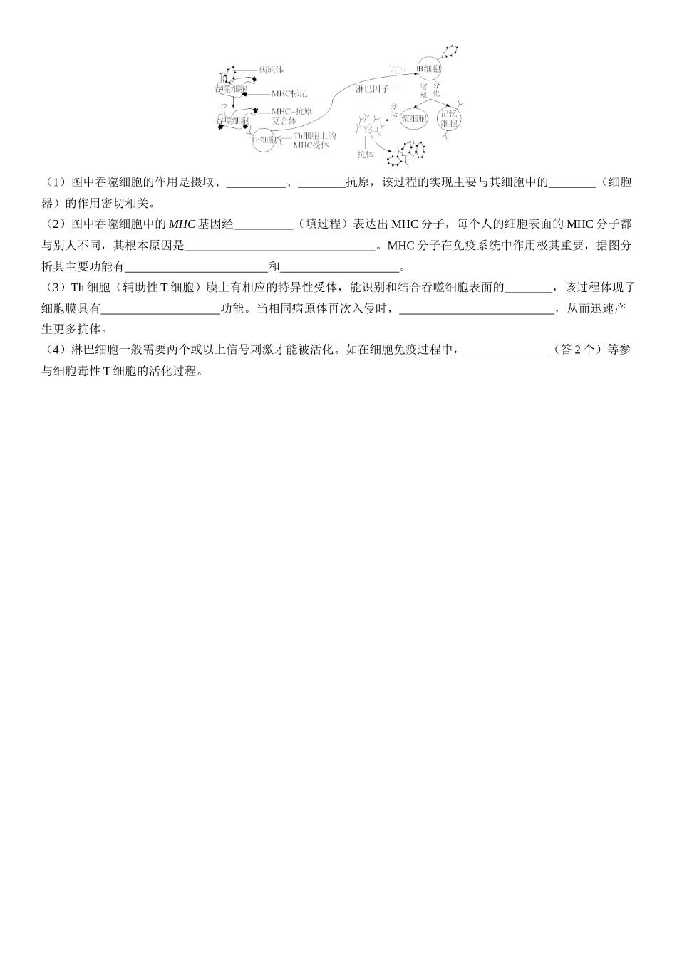 2026年三维设计一轮高中总复习生物课时跟踪检测-第41讲　免疫系统的组成和功能以及特异性免疫.docx_第3页