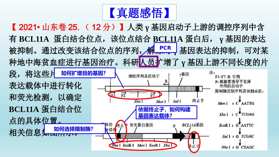 2026年三维设计一轮高中总复习生物同课异构-基因工程(一).pptx_第2页