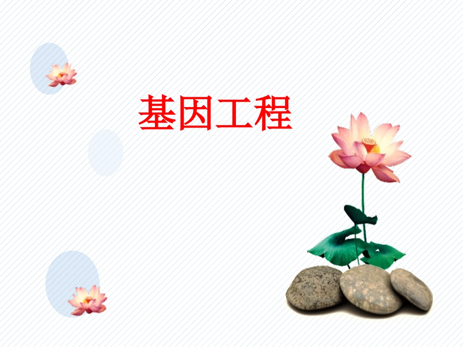 2026年三维设计一轮高中总复习生物同课异构-基因工程.pptx_第1页