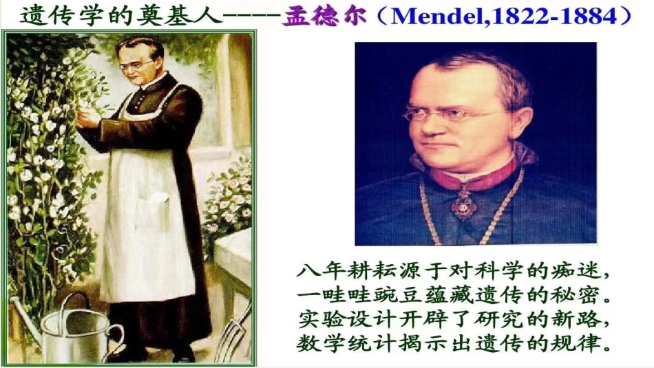 2026年三维设计一轮高中总复习生物同课异构-基因在染色体上.pptx_第3页