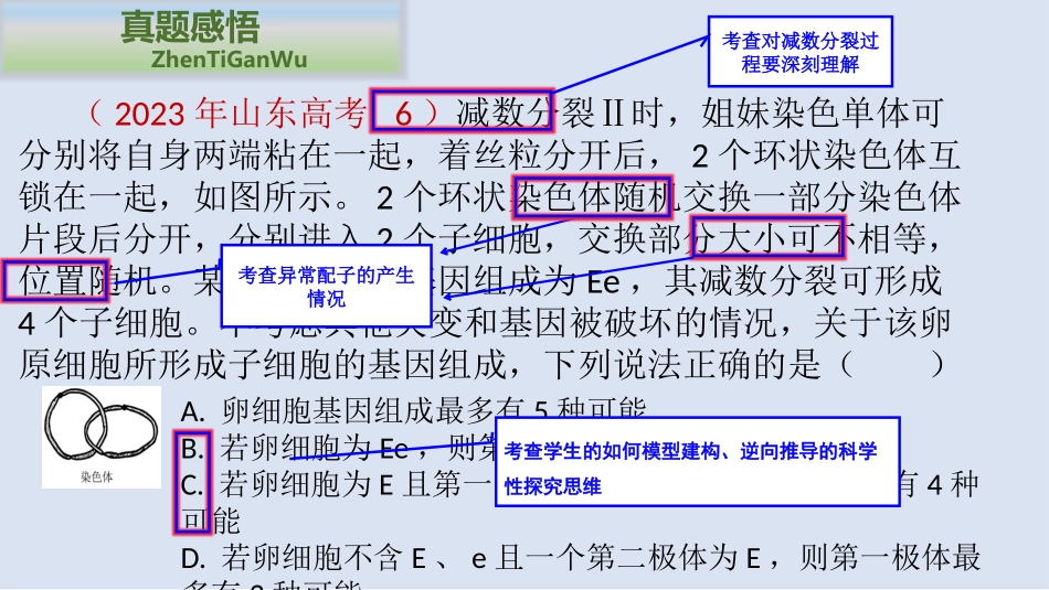 2026年三维设计一轮高中总复习生物同课异构-减数分裂和受精作用.pptx_第2页
