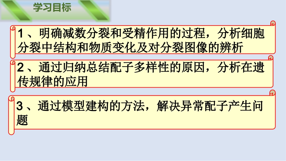2026年三维设计一轮高中总复习生物同课异构-减数分裂和受精作用.pptx_第3页