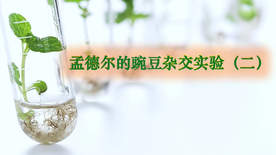 2026年三维设计一轮高中总复习生物同课异构-孟德尔的豌豆杂交实验（二）.pptx_第1页