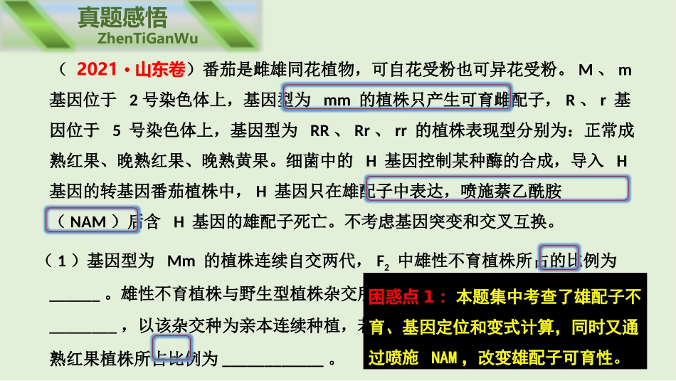 2026年三维设计一轮高中总复习生物同课异构-孟德尔的豌豆杂交实验（二）.pptx_第2页