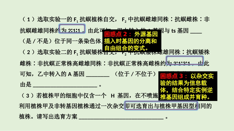 2026年三维设计一轮高中总复习生物同课异构-孟德尔的豌豆杂交实验（二）.pptx_第3页