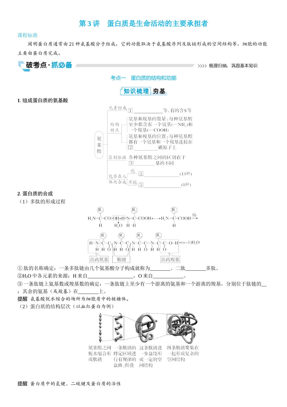 2026年三维设计一轮高中总复习生物学生用-第3讲　蛋白质是生命活动的主要承担者.docx_第1页