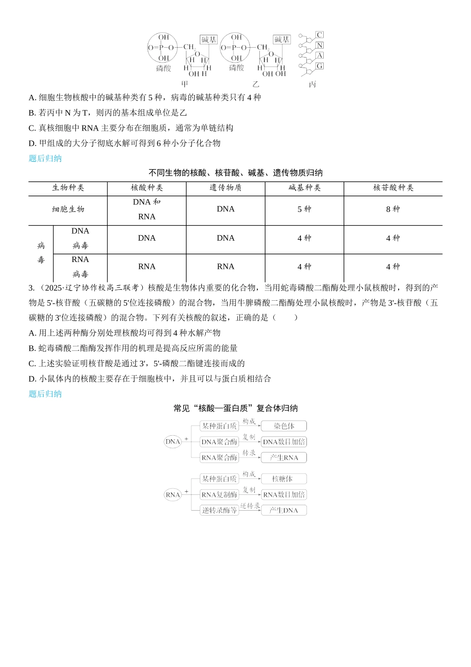 2026年三维设计一轮高中总复习生物学生用-第4讲　核酸是遗传信息的携带者.docx_第3页