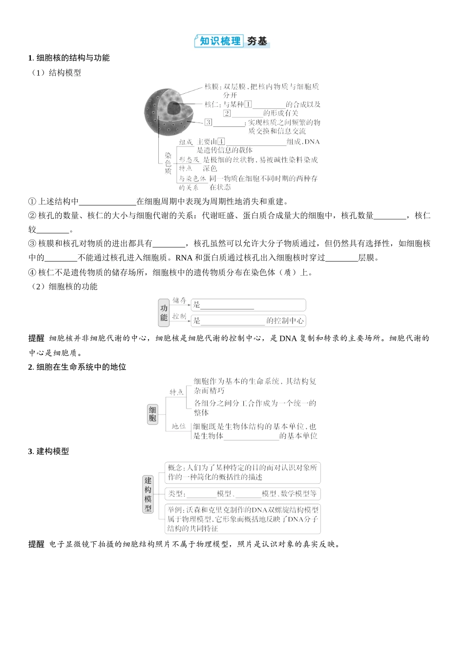 2026年三维设计一轮高中总复习生物学生用-第7讲　细胞核的结构和功能.docx_第3页